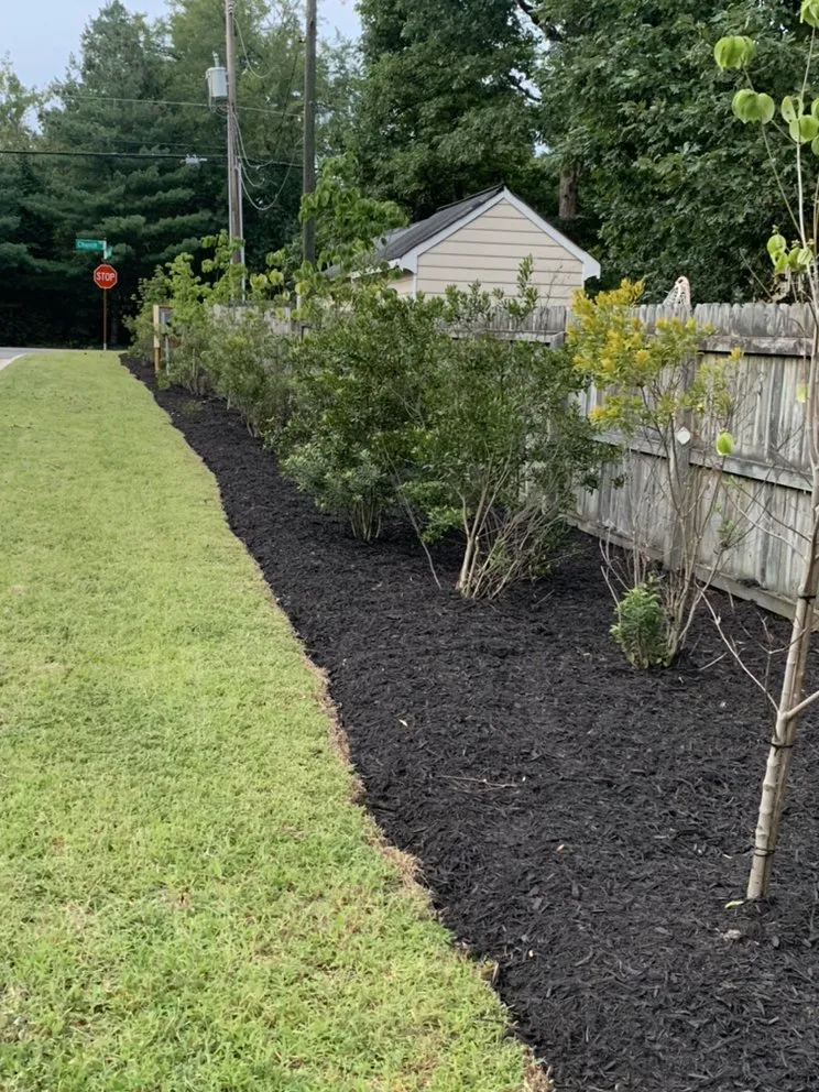 Affordable yard maintenance in Richmond, VA - Portillo Landcare