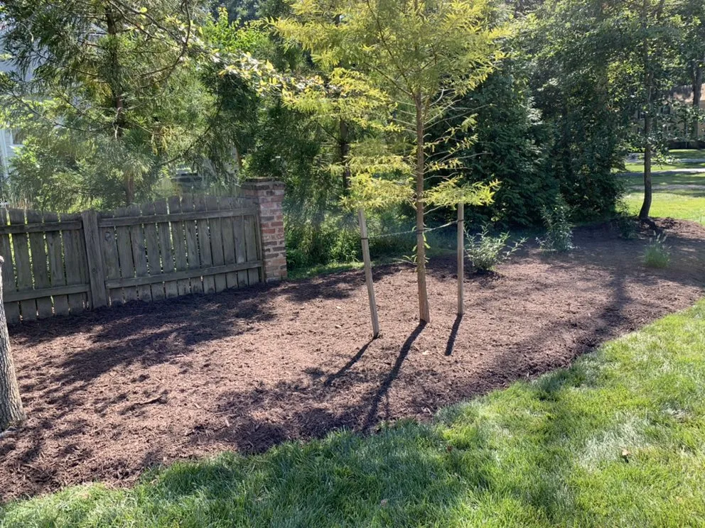 Professional landscaping services in Richmond, VA - Portillo Landcare