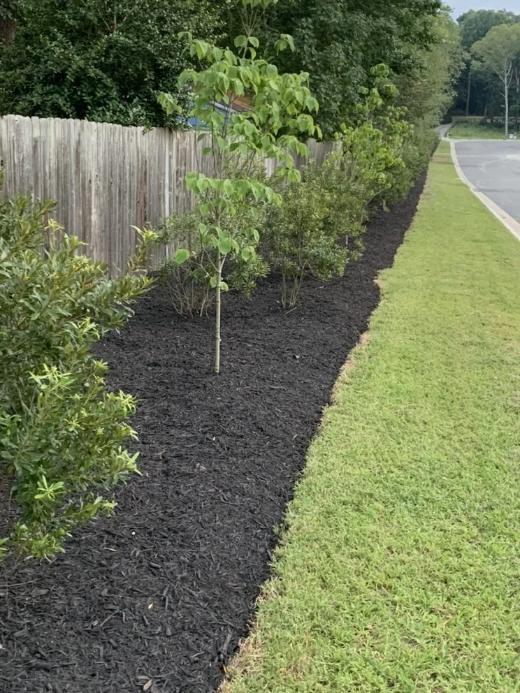 Affordable residential landscaping in Richmond, VA - Portillo Landcare