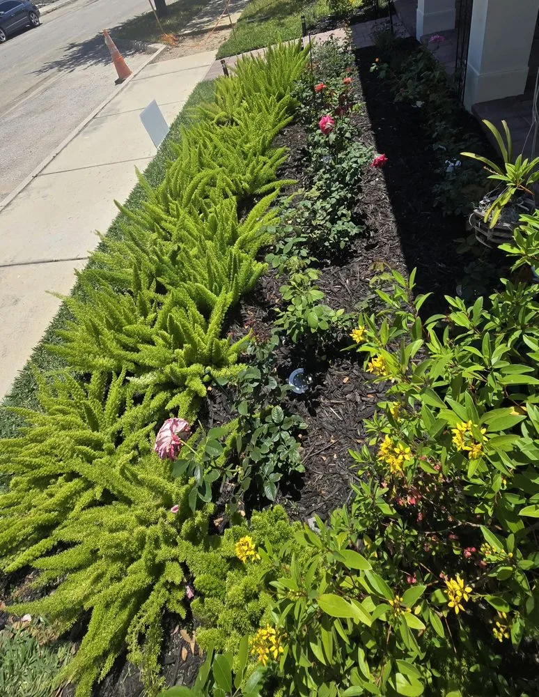 Reliable landscape design in Fort Pierce, FL by Portillo Lawn & Landscaping