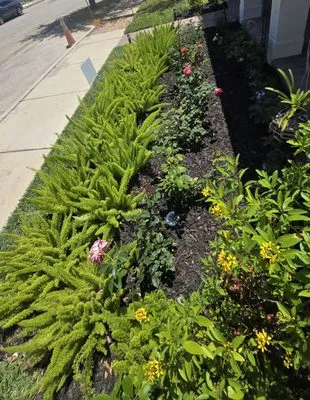 Portillo Lawn & Landscaping Logo