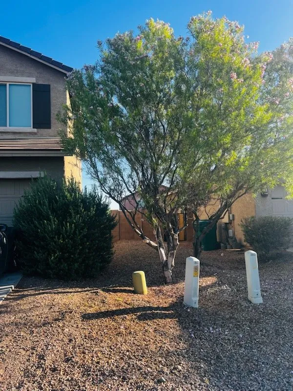 Custom yard maintenance experts serving Tucson, AZ - Portillos Commercial Cleaning and Landscaping