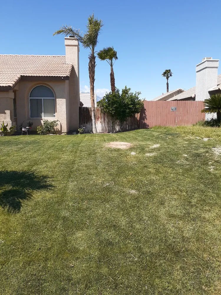 Reliable landscape installation near you across Palm Desert, CA - Portillos Landscaping and Gardening Services