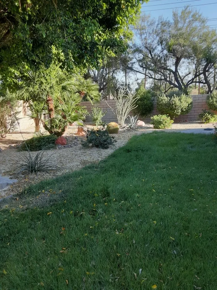 Affordable lawn care service experts serving Palm Desert, CA - Portillos Landscaping and Gardening Services