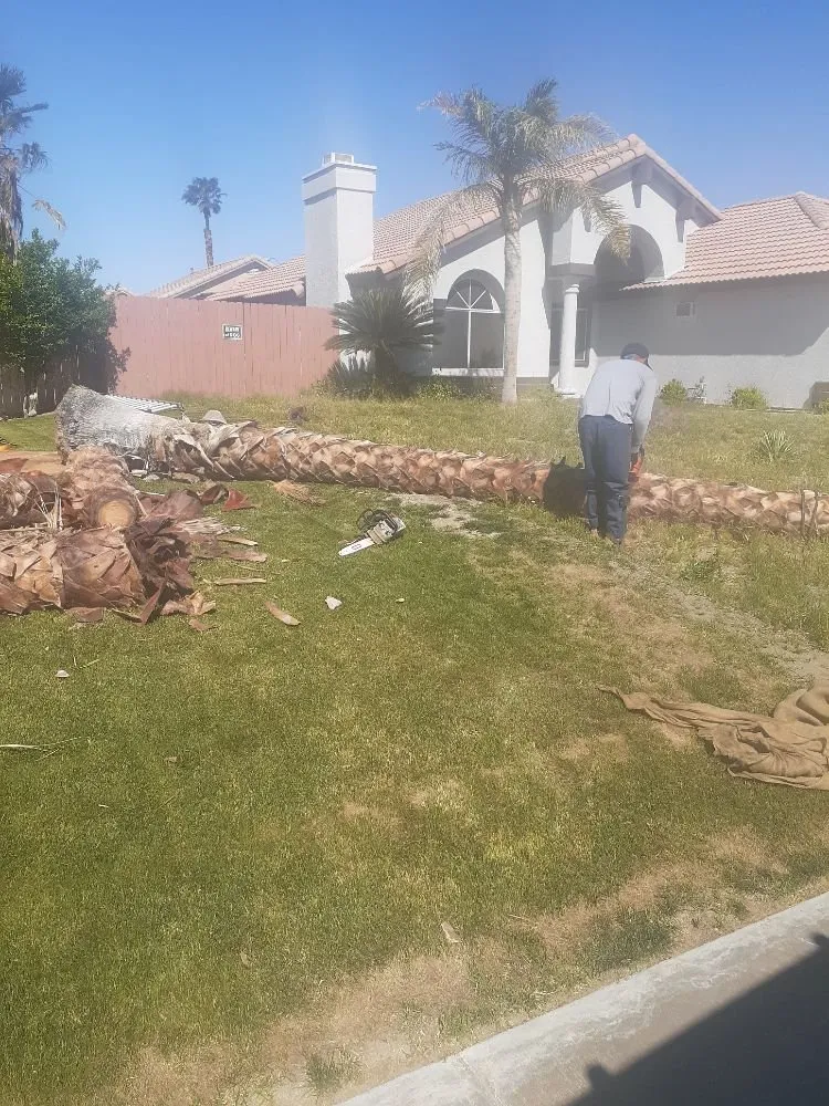 Trusted yard cleanup service in Palm Desert, CA by Portillos Landscaping and Gardening Services