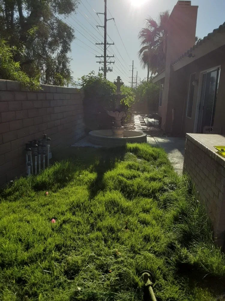 Top-rated landscape installation for homes in Palm Desert, CA by Portillos Landscaping and Gardening Services
