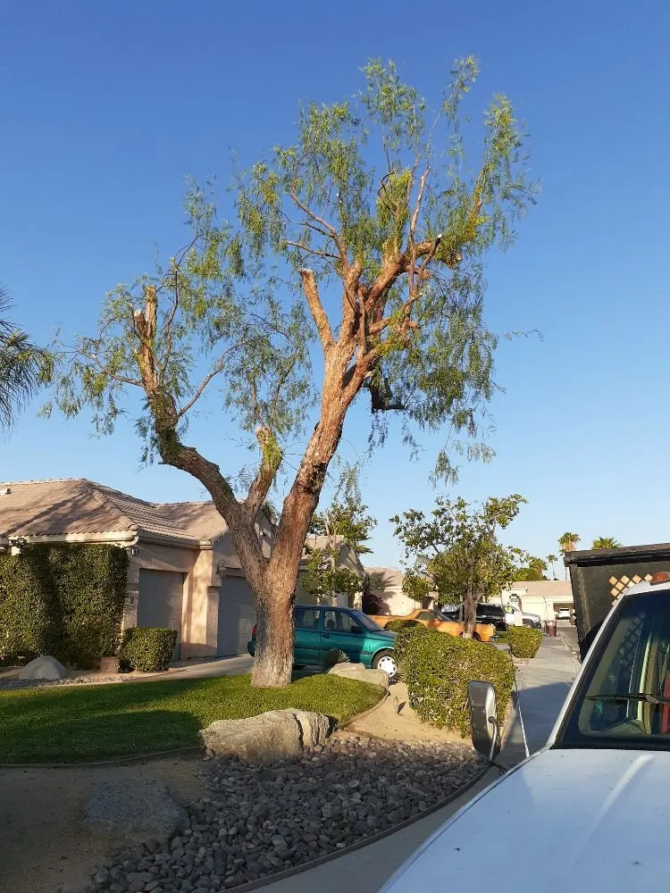 Affordable garden landscaping in Palm Desert, CA by Portillos Landscaping and Gardening Services