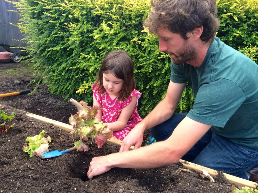 Local lawn mowing service in Portland, OR by Portland Edible Gardens, LLC