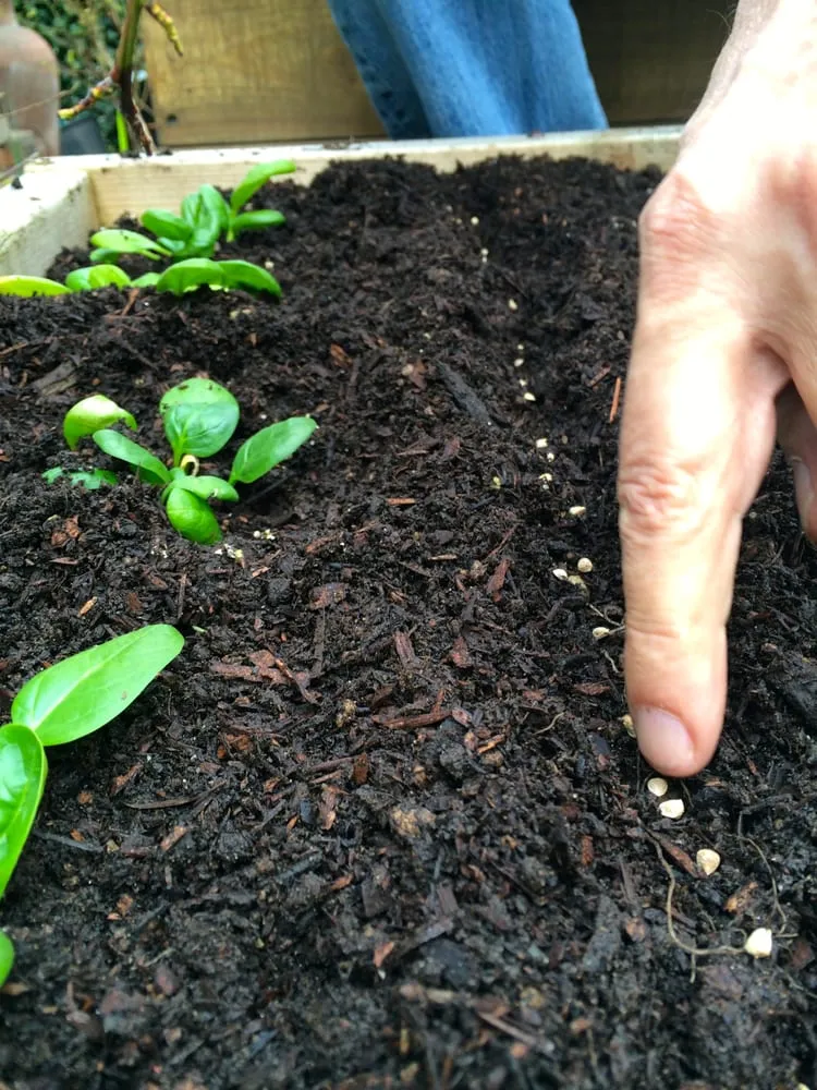 Top-rated landscaping services near you across Portland, OR - Portland Edible Gardens, LLC