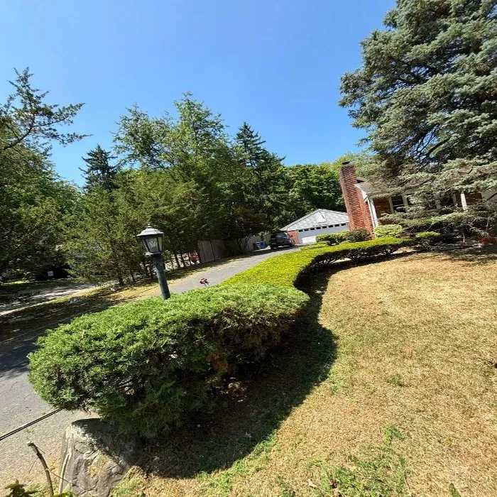 Custom lawn mowing service for beautiful yards in Lodi, NJ by Portland Springs Tree Services