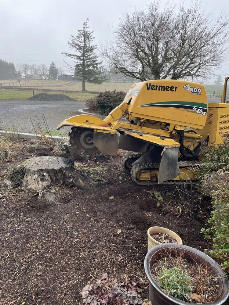 Trusted garden landscaping for homes across Portland, OR - Portland Stump Grinding