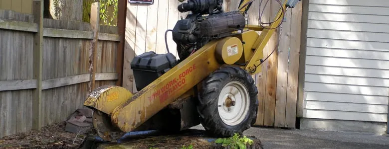 Custom lawn care service in Portland, OR - Portland Stump Grinding