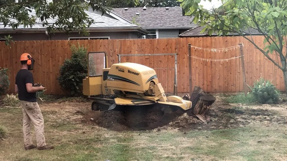 Custom landscape design experts serving Portland, OR - Portland Stump Grinding