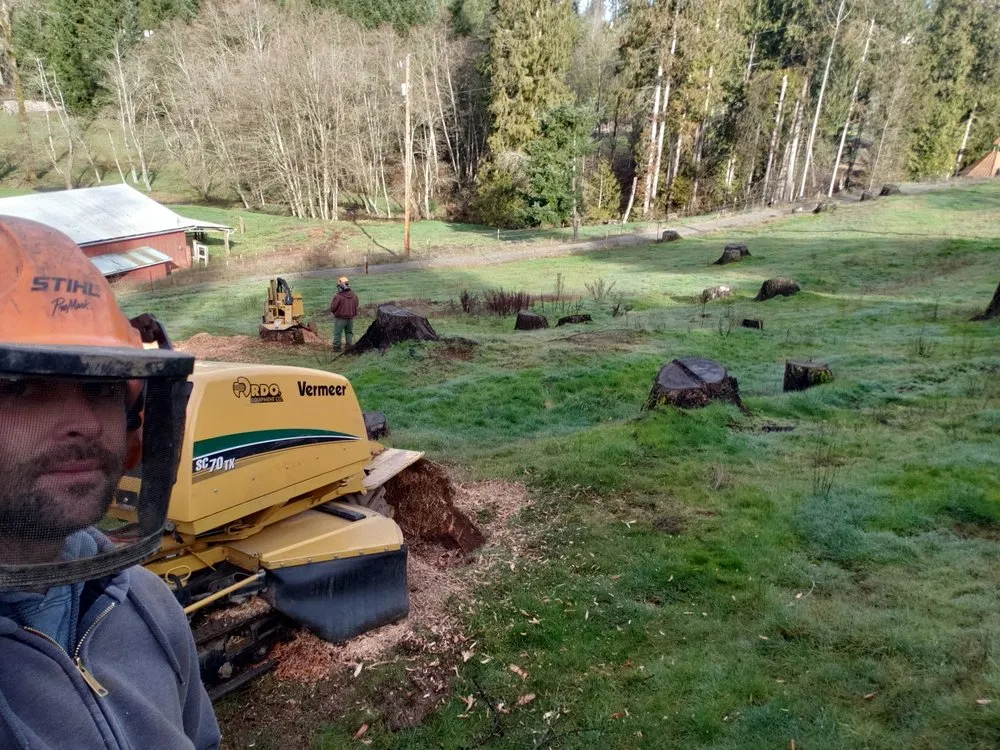 Expert lawn care service for homes in Portland, OR by Portland Stump Grinding