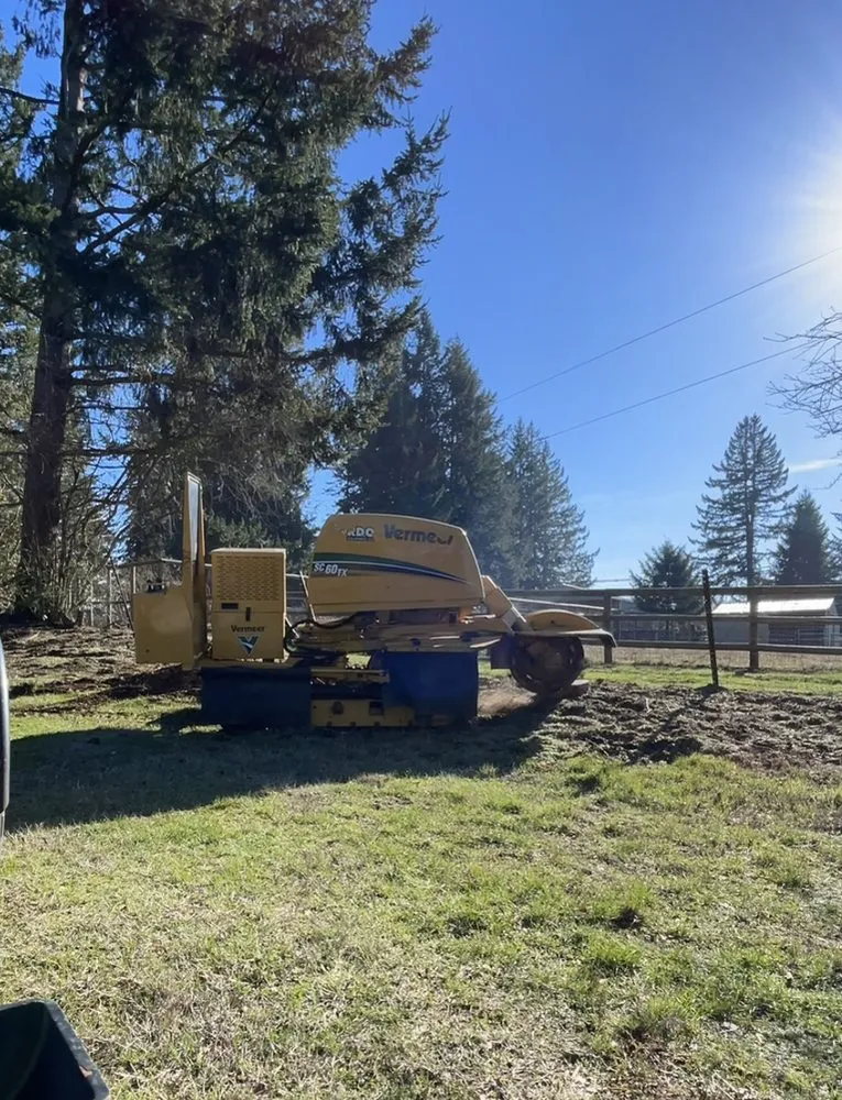 Local landscaping services experts serving Portland, OR - Portland Stump Grinding