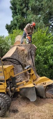 Portland Stump Grinding Logo
