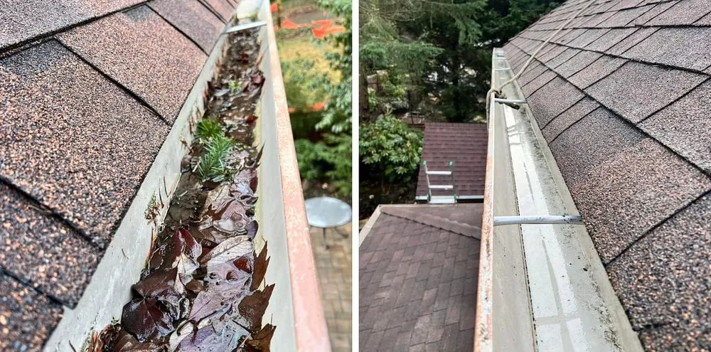 Top-rated residential landscaping in Portland, OR by Portlandscaping