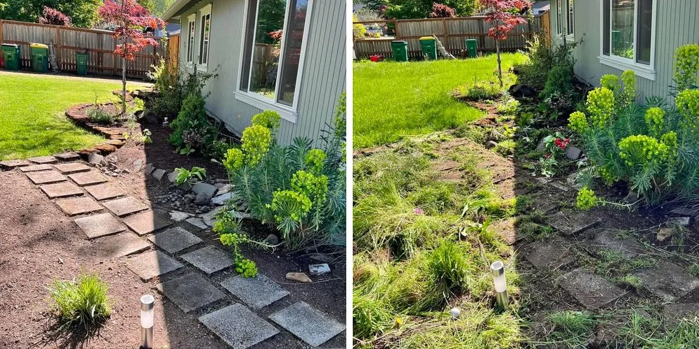 Top-rated landscaping services in Portland, OR by Portlandscaping