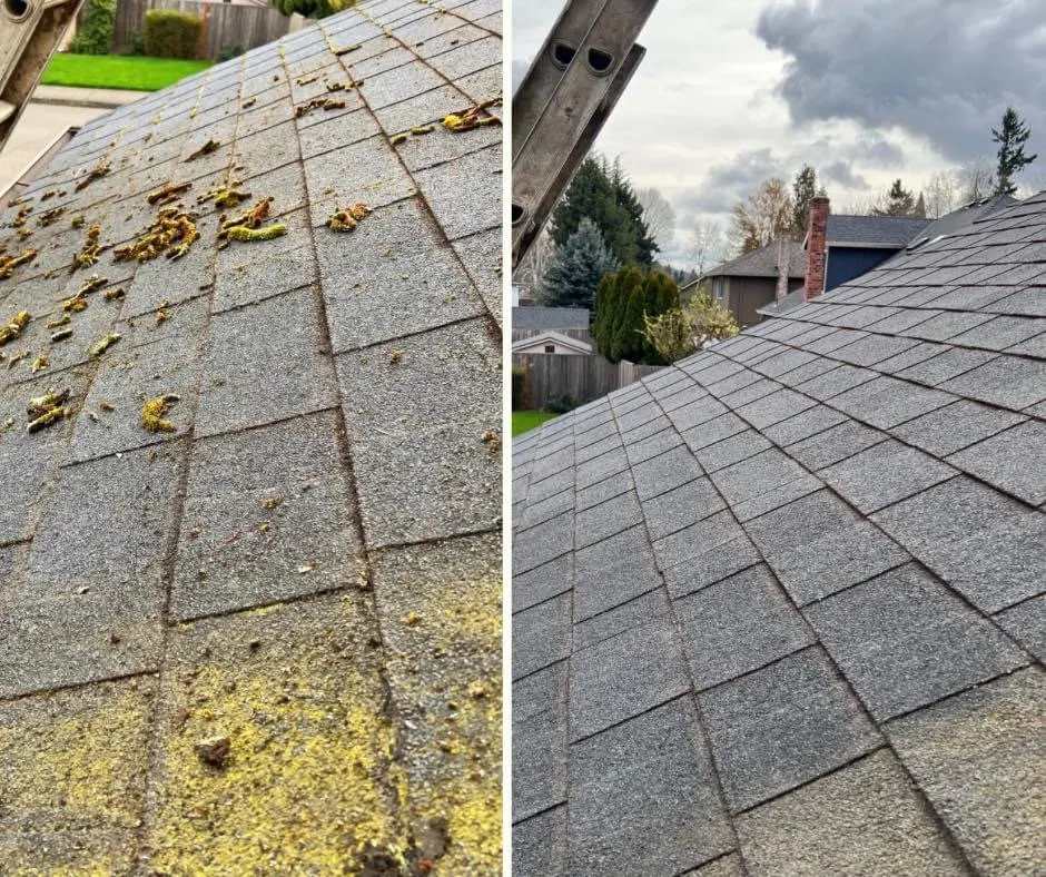 Top-rated landscape design in Portland, OR - Portlandscaping