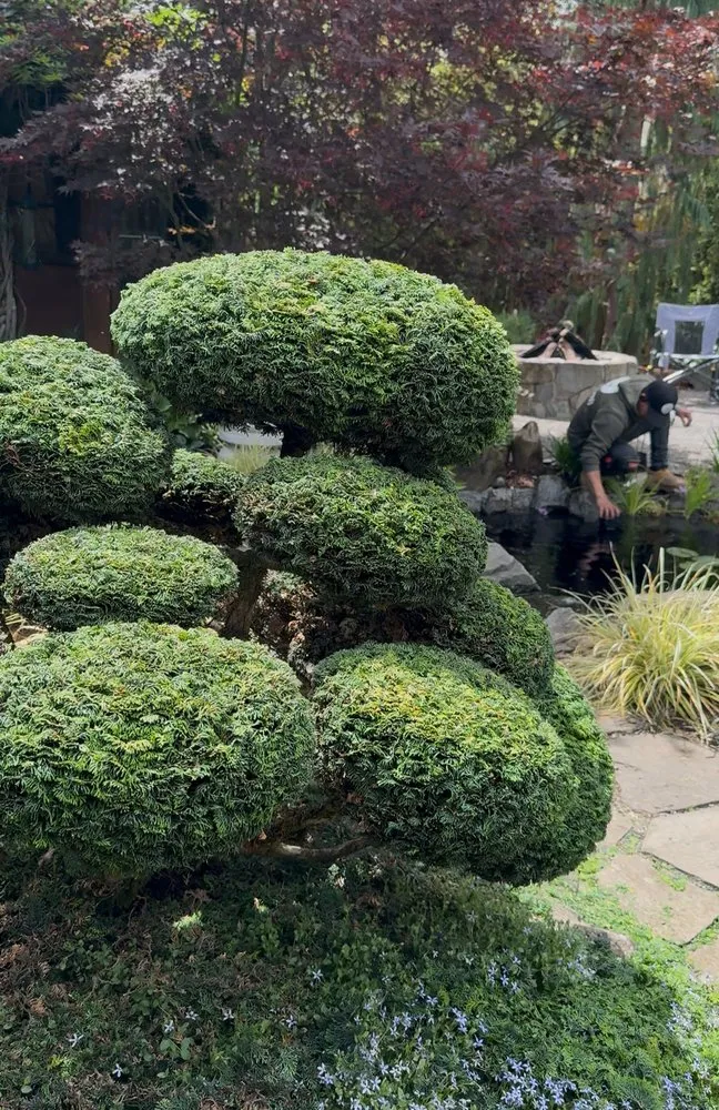 Expert landscape installation in Portland, OR - Portlandscaping