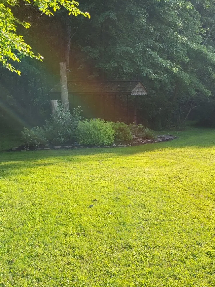 Top-rated yard maintenance for residential properties in Rootstown, OH by Portman landscaping