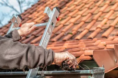 Reliable residential landscaping for homes across Stone Mountain, GA - Portrait Green