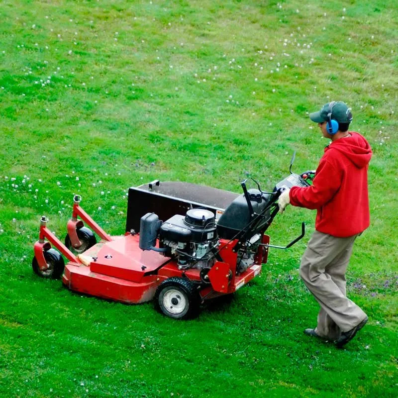 Custom residential landscaping for beautiful yards in Danbury, CT by Posadas Dumpsters Rental