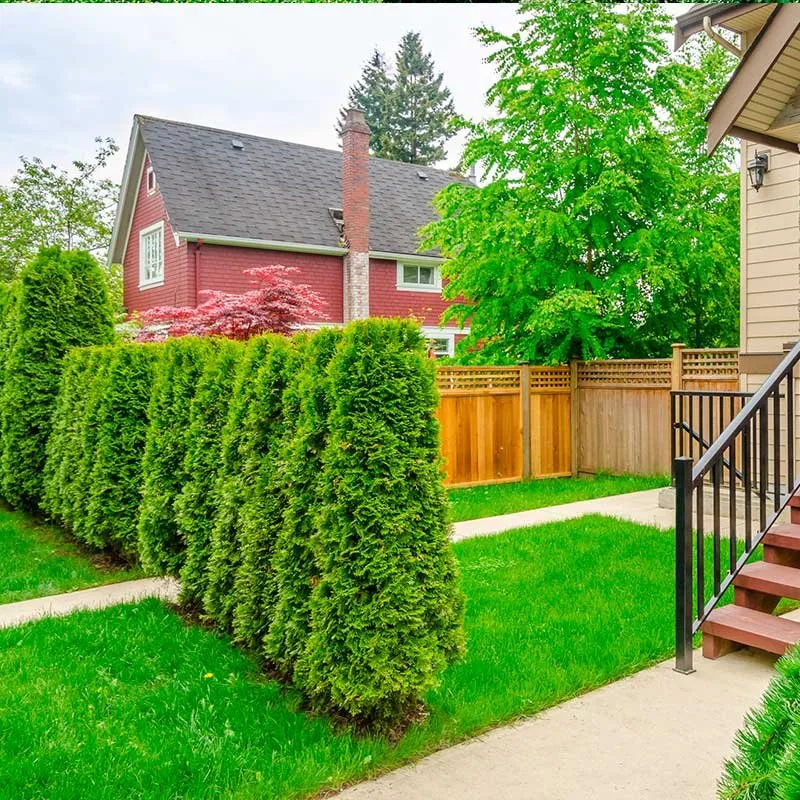 Custom outdoor landscaping in Danbury, CT - Posadas Dumpsters Rental