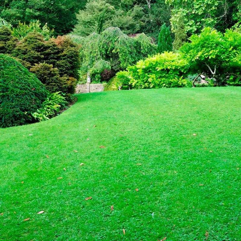 Affordable landscaping services experts serving Danbury, CT - Posadas Dumpsters Rental