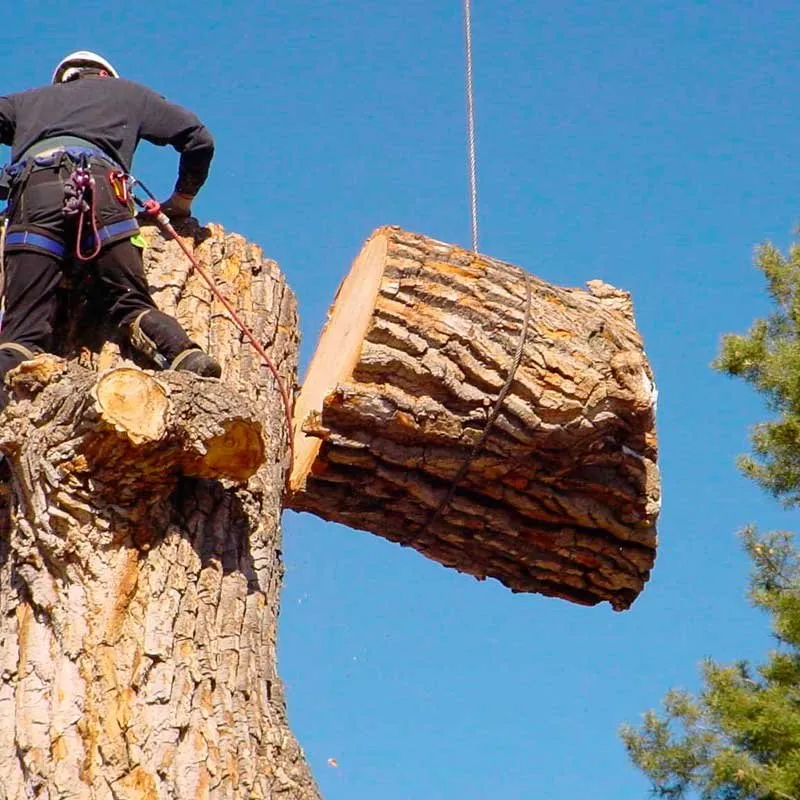 Local yard maintenance in Danbury, CT by Posadas Dumpsters Rental