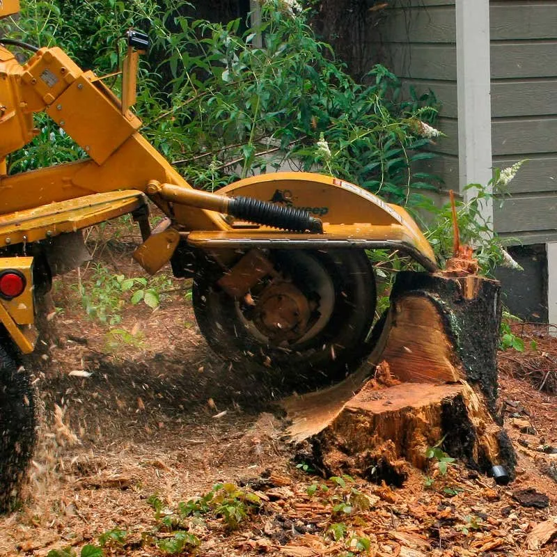 Reliable lawn care service near you across Danbury, CT - Posadas Dumpsters Rental