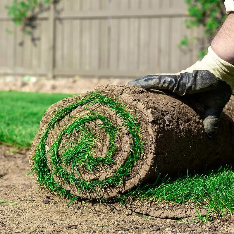 Reliable landscape design for beautiful yards in Danbury, CT by Posadas Dumpsters Rental