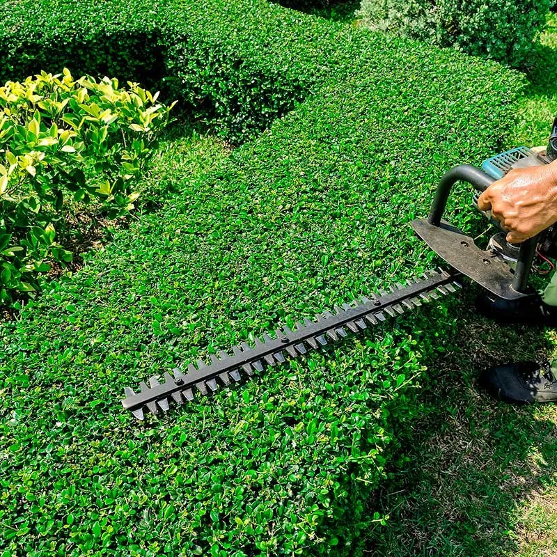 Expert yard maintenance in Danbury, CT by Posadas Dumpsters Rental