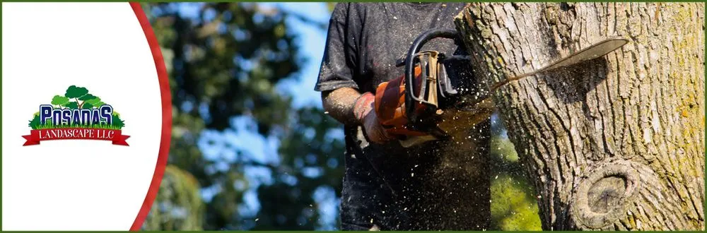 Expert yard cleanup service for outdoor upgrades across Danbury, CT - Posada's Landscape