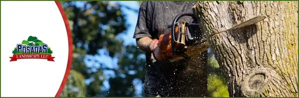 Posada's Landscape Logo