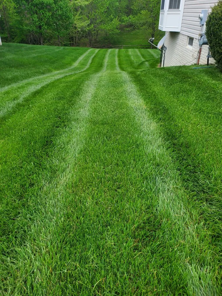 Trusted landscape design for beautiful yards in Dumfries, VA by Posadas Landscaping