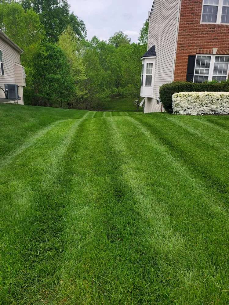 Affordable yard maintenance experts serving Dumfries, VA - Posadas Landscaping