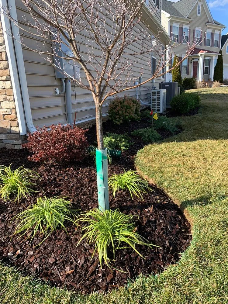 Professional lawn mowing service in Winchester, VA - Poseidon's Irrigation & Landscape