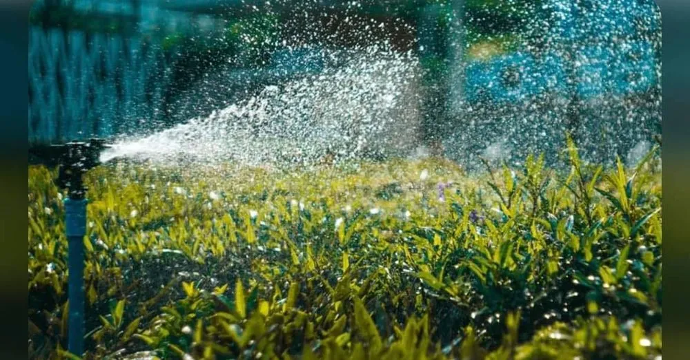 Reliable landscape installation for beautiful yards across Winchester, VA - Poseidon's Irrigation & Landscape