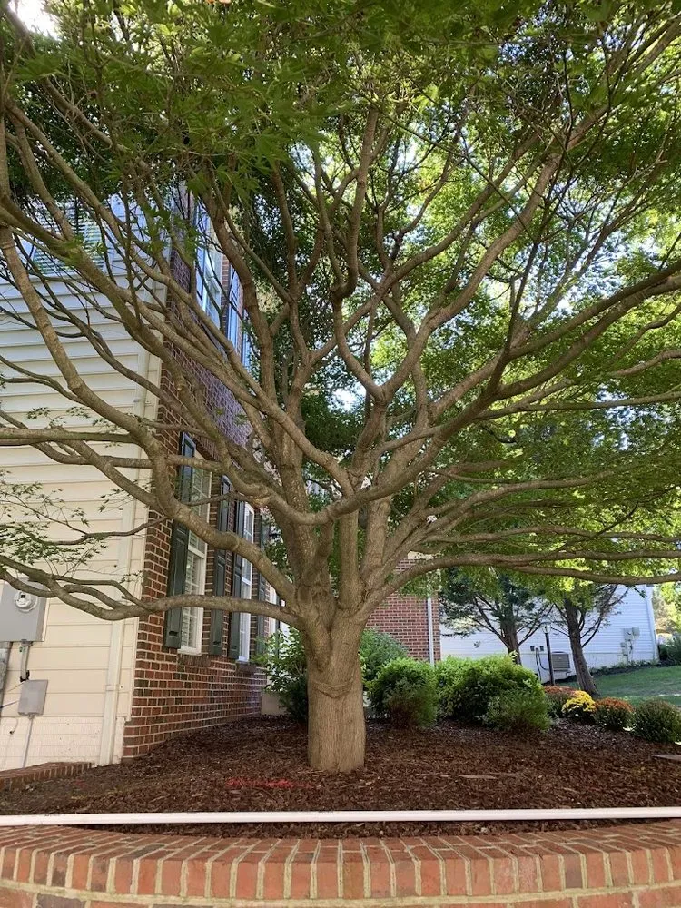 Professional yard maintenance in Winchester, VA - Poseidon's Irrigation & Landscape