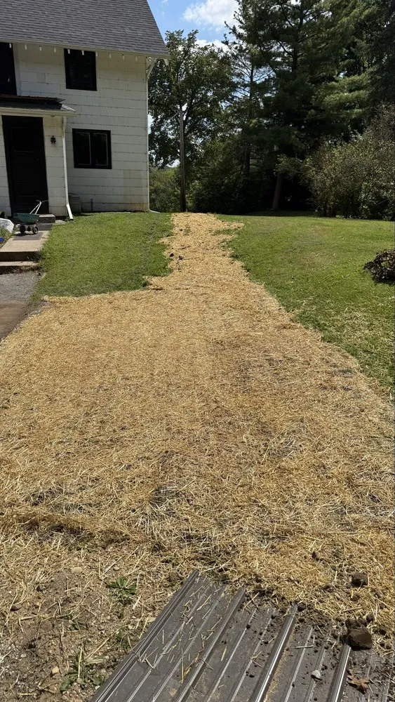 Top-rated landscape installation for residential properties across Sullivan, WI - Poser Property Management