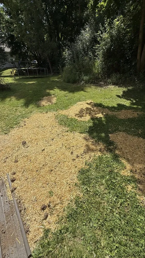 Local lawn care service near you across Sullivan, WI - Poser Property Management