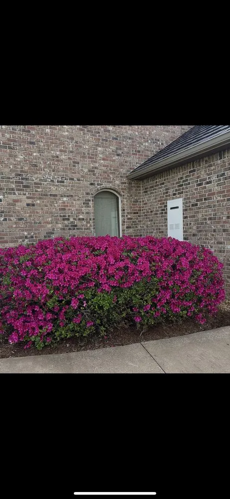 Trusted landscape installation for residential properties across Abbeville, LA - Posh Landscaping