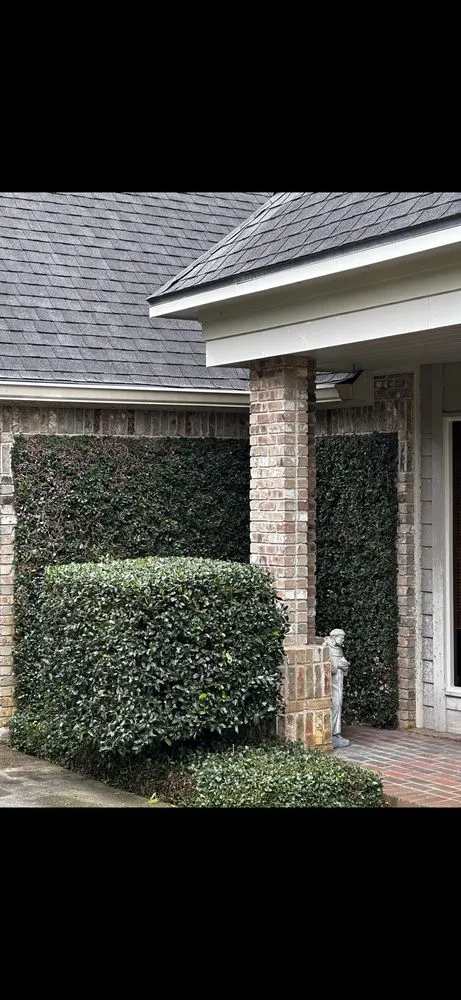 Trusted yard cleanup service with custom design in Abbeville, LA by Posh Landscaping