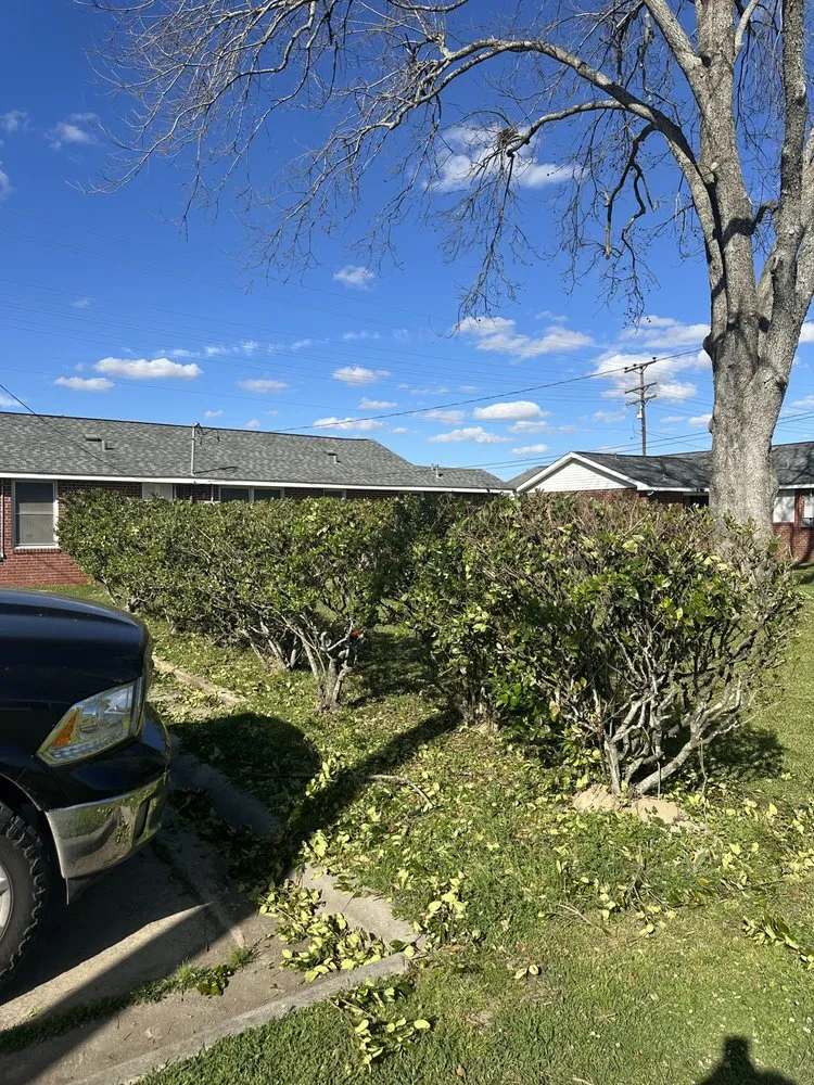 Affordable landscaping services near you across Abbeville, LA - Posh Landscaping