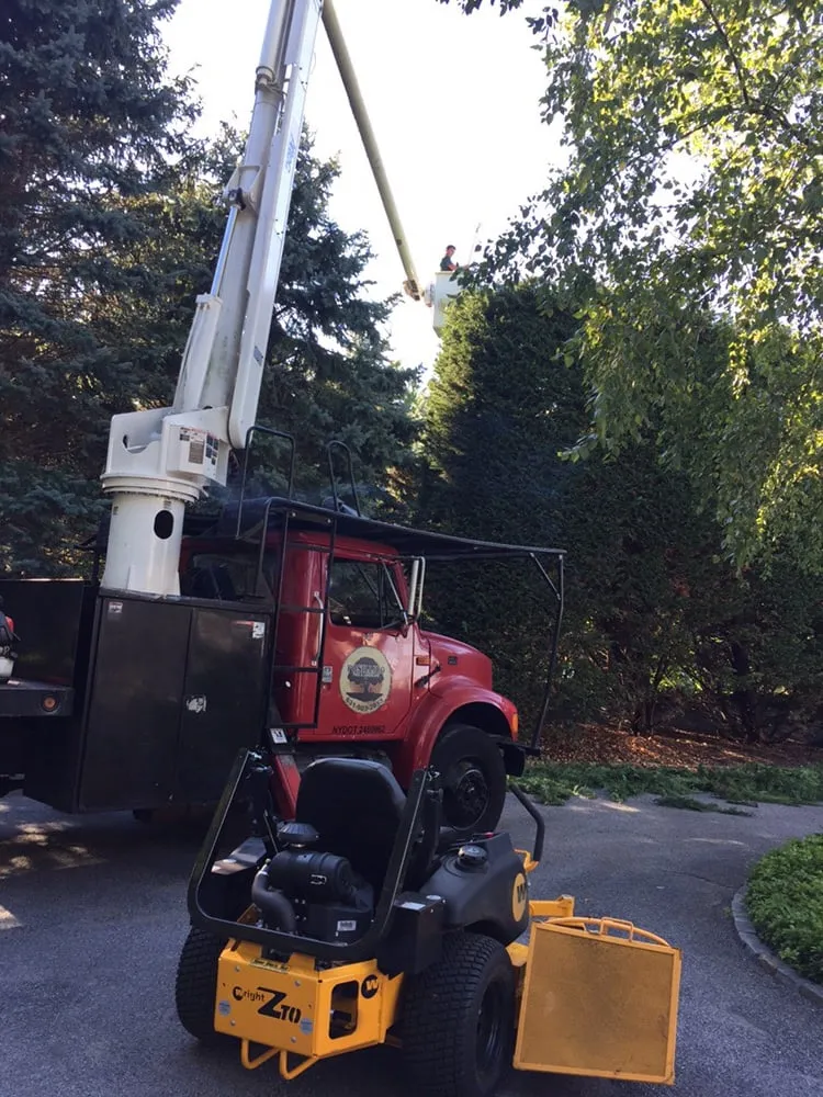 Custom landscaping services in Huntington, NY by Posillico Tree and Landscape