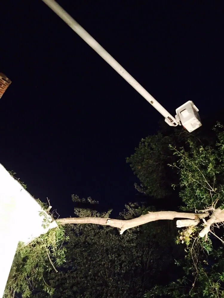 Expert lawn mowing service experts serving Huntington, NY - Posillico Tree and Landscape