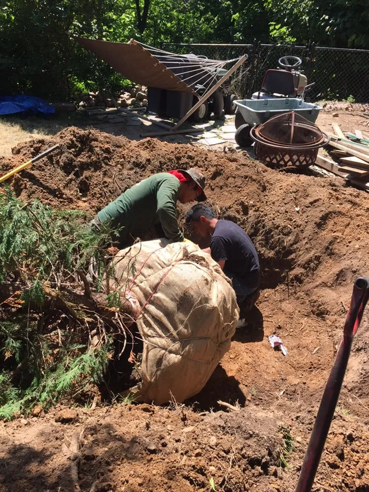 Affordable lawn mowing service near you across Huntington, NY - Posillico Tree and Landscape