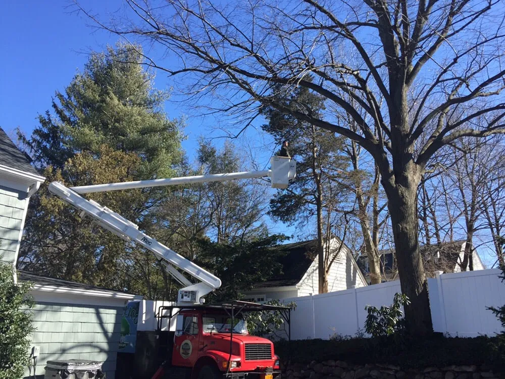 Trusted landscaping services in Huntington, NY - Posillico Tree and Landscape