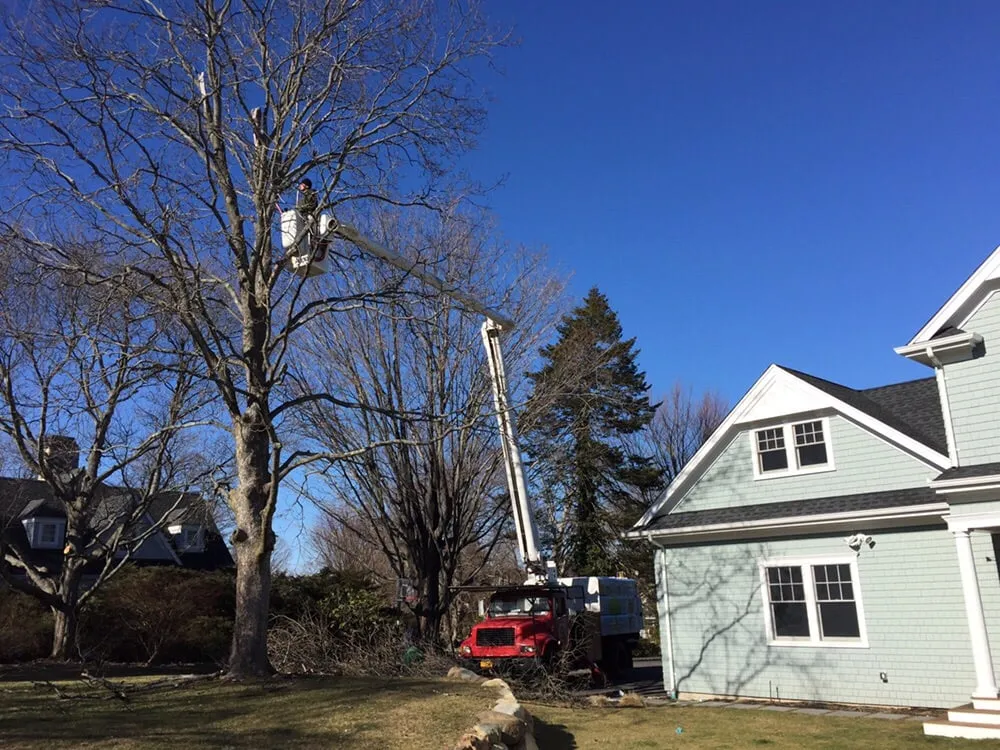 Local landscape design for residential properties in Huntington, NY by Posillico Tree and Landscape